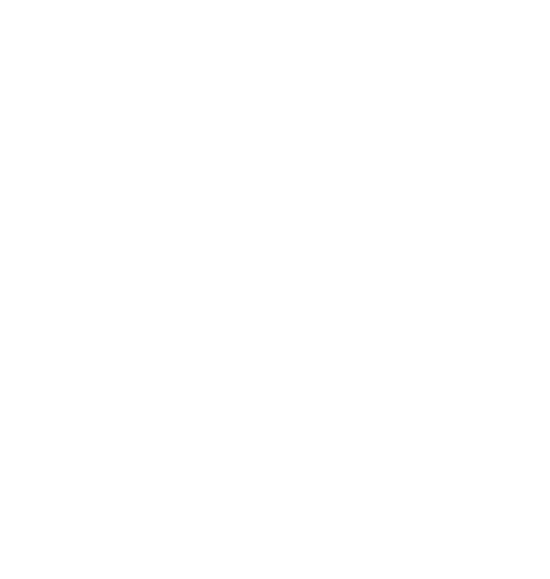 analogo (1)